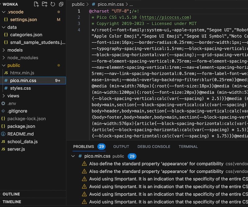 Screenshot of VS Code showing 29 problems detected.